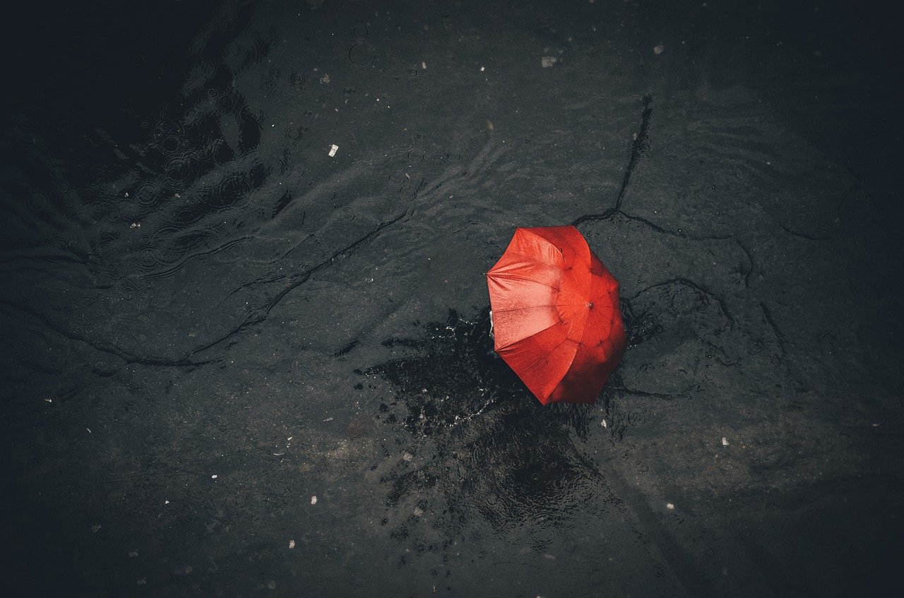 rain, umbrella, pavement